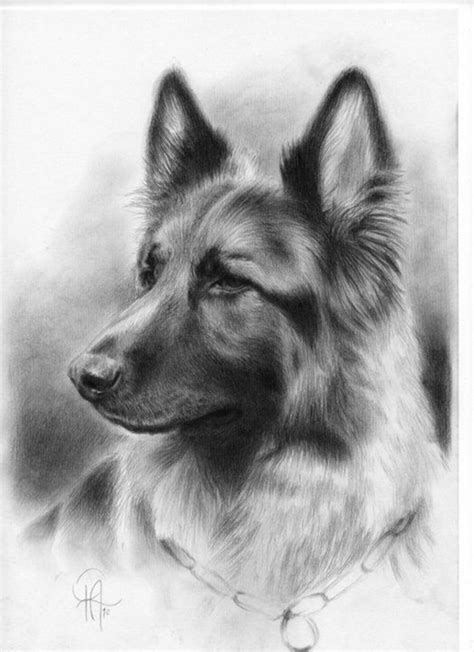 All shapes are drawn using thick and bold outlines. 85 Simple And Easy Pencil Drawings Of Animals For Every ...