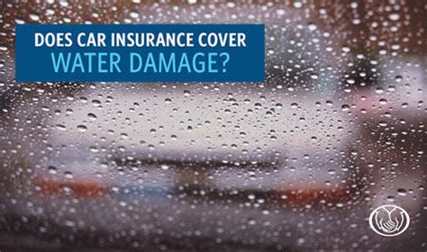After the owner paid the deductible, all the costs to remove the carpet, flooring, subfloor, and damage to the cabinets was covered. Allstate | Car Insurance in Grapevine, TX - Bill Brandes