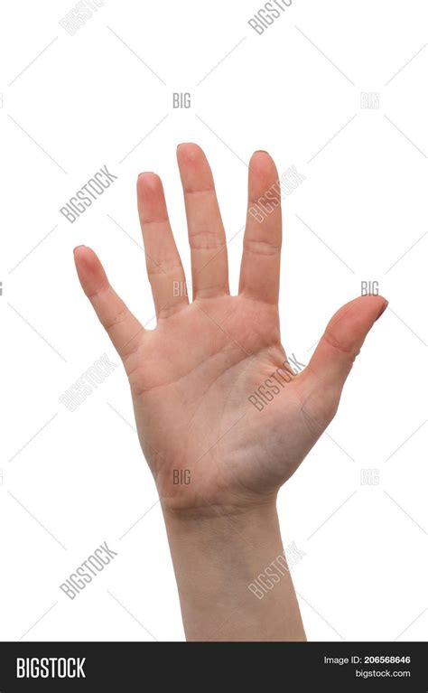Woman Hand Palm Image And Photo Free Trial Bigstock