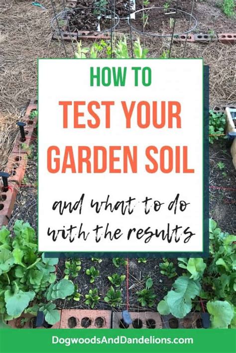 Buy an inexpensive soil tester which tests for nitrogen, phosphorus, and potash (n. Testing Your Garden Soil - Dogwoods & Dandelions