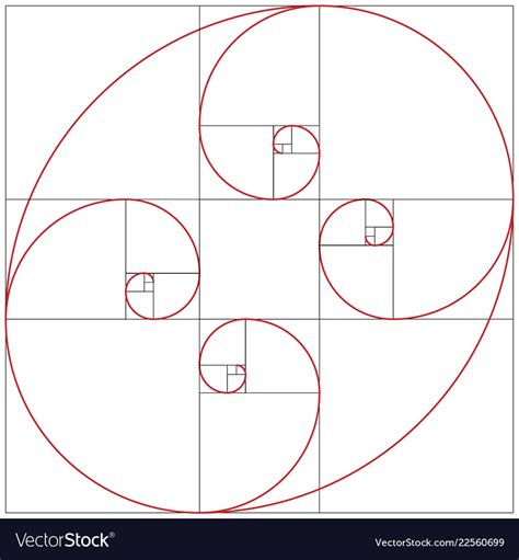 Fibonacci Spiral Golden Ratio Royalty Free Vector Image