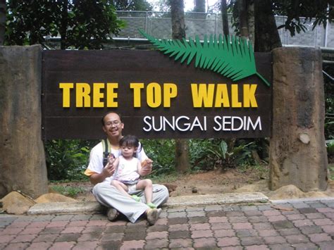 Save mbi desaku homestay to your lists. JaLaN-JaLaN: TREE TOP WALK SUNGAI SEDIM : Laluan Kanopi ...