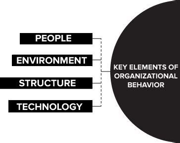 What Is Organizational Behavior? Model, Theories, Scope - Geektonight in 2020 | Organizational ...