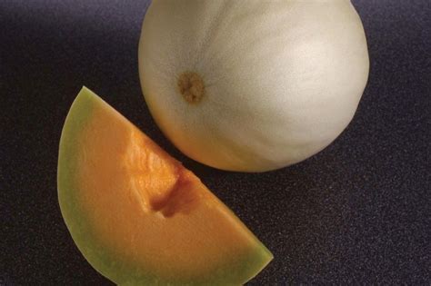 Melon Honeydew Orange Flesh Temptation Premier Seeds Direct