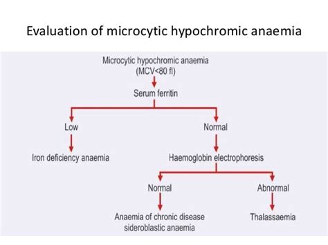 Laboratory Diagnosis Of Anemia