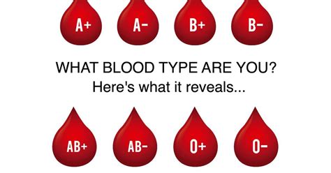 The relation between abo blood types and personality was studied and brought to life by mashiko nomi, a japanese journalist, in the 1970s. How Your Blood Type Defines Who You Are Entirely