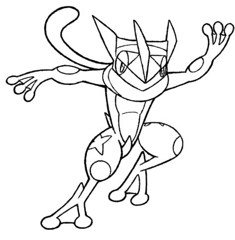 5 Desenhos Do Greninja Para Baixar E Pintar Mestre Pokemon