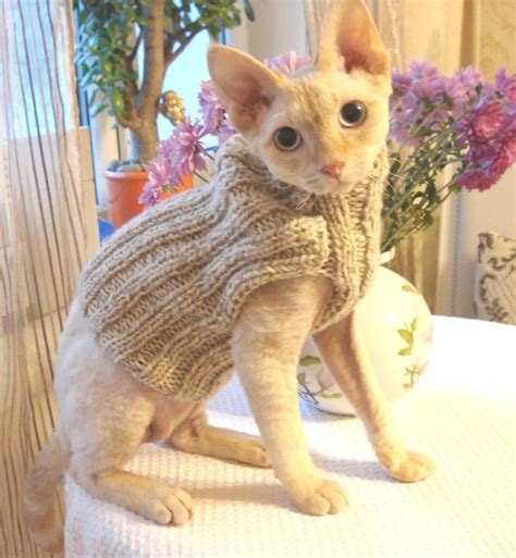 Cat Jumper Sweater Wool Hand Knitted Etsy Cats And Kittens Cat