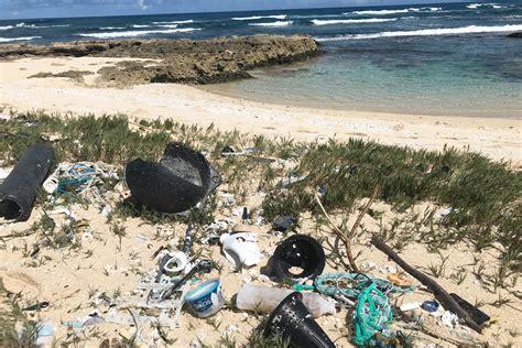 Make The World A Better Place And Volunteer At A Quarterly Beach Clean