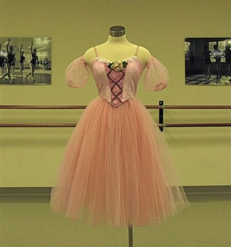 Auroras Friend Sleeping Beauty Ballet Costumes Costumes Dresses