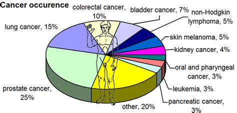 file most common cancers male by occurence png new world encyclopedia