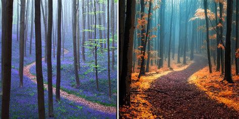 28 Magical Paths Begging To Be Walked Beautiful Roads Landscape