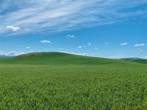 This Hill Looks Like The Windows Xp Wallpaper Rwindowsxpwallpaper