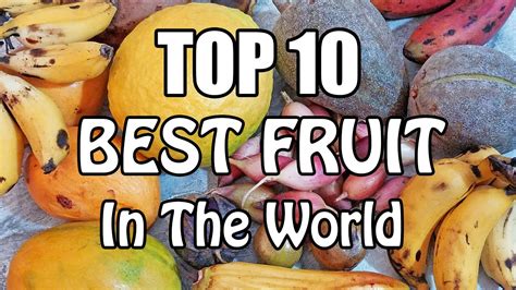 Top 10 Best Fruit In The World 2019 Weird Fruit Explorer Ep 405