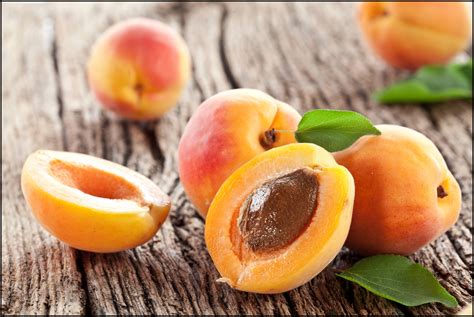 Fun Facts Of Apricots Serving Joy Inspire Through Sharing