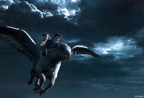 Hippogriff Patronus Wallpapers Wallpapers Most Popular Hippogriff