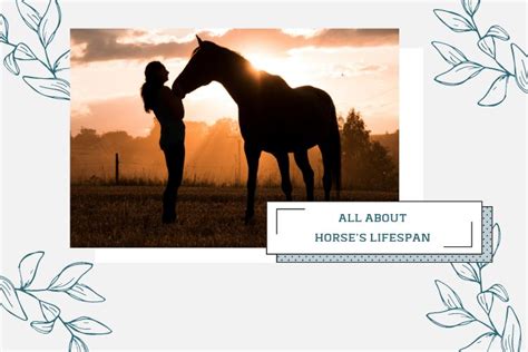 Horse Lifespan And Factors Affecting Life Expectancy
