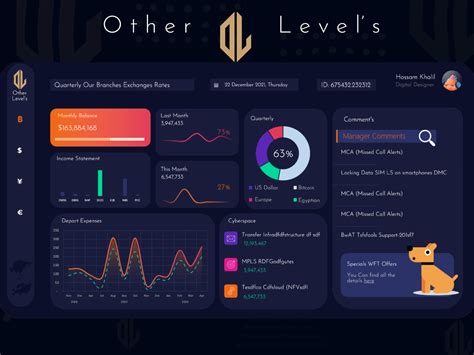 Excel Dashboard By Other Levels On Dribbble