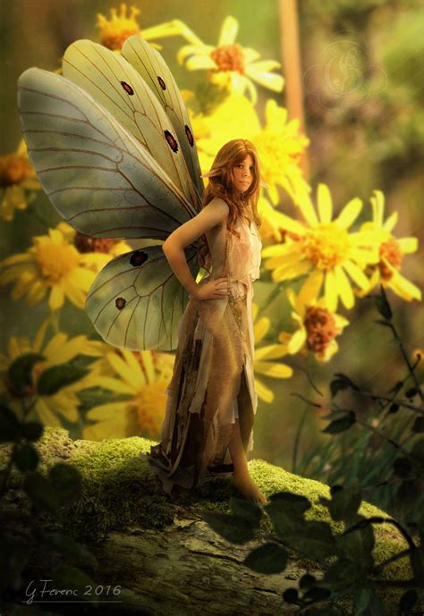 Butterfly Fairy Butterfly Fairy Fairy Art Fairy