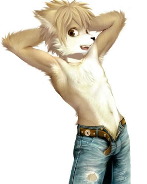 Furryyaoi Best Adult Videos And Photos