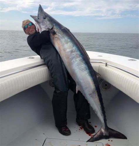 Monster Wahoo Caught Off Louisiana Coast 4th Biggest In State History