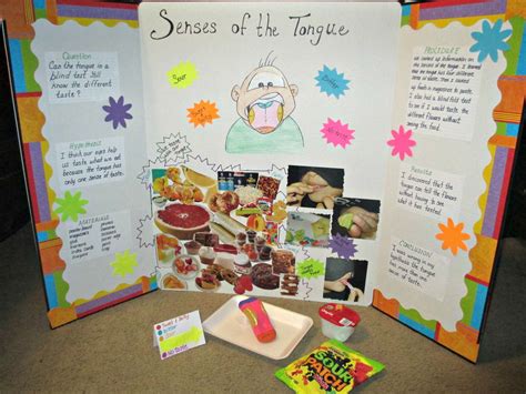 Taste Buds Science Projects Science Experiments Projects To Try