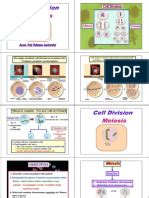 Key differences, chart and venn. mitosis and meiosis webquest | Meiosis | Mitosis