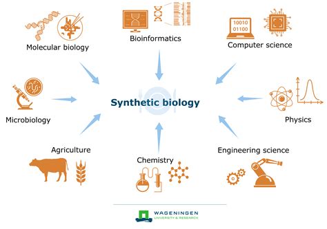 Synthetic Biology Wur