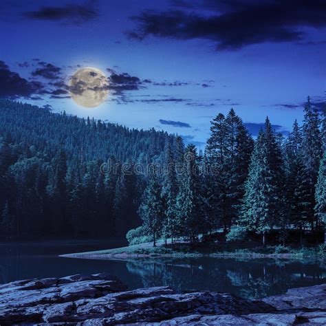 Pine Forest And Lake Near The Mountain At Night Stock Image Image Of
