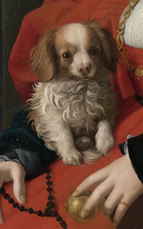 Art Eyewitness: Art Eyewitness Book Review: Maniera: Pontormo, Bronzino