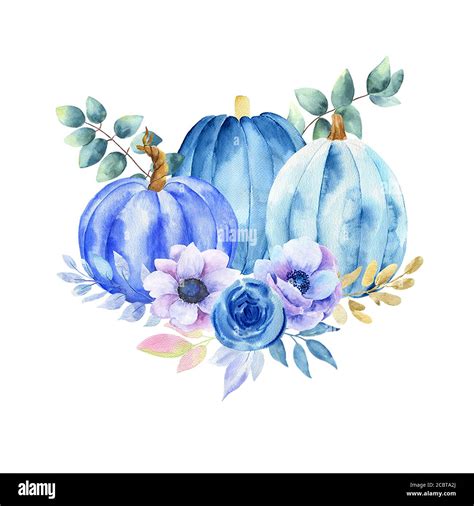 Watercolor Illustration Of Blue Pumpkins Stock Photo Alamy