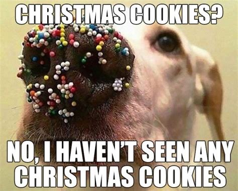 Funny Christmas Memes 30 Photos Christmas Memes Funny Funny Animal