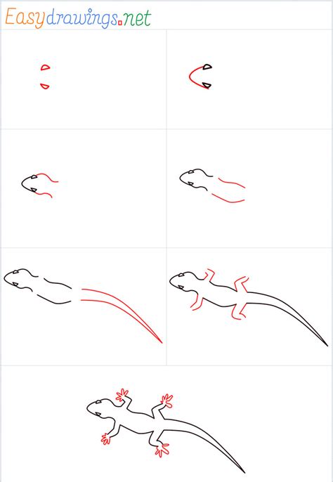 How To Draw A Lizard Step By Step 7 Easy Phase