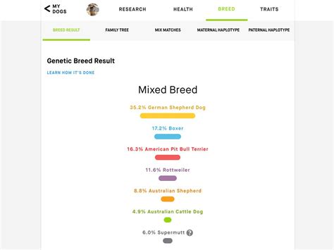Embark Dog Dna Test Review — Heres How It Works And What Youll Learn