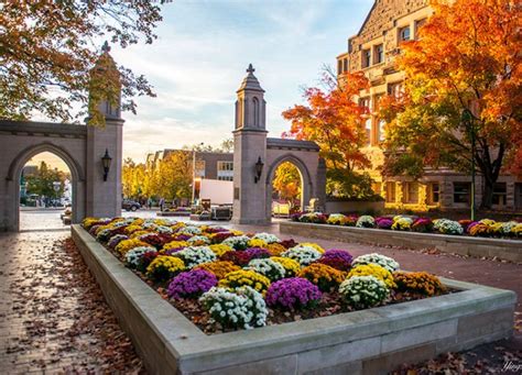 The 25 Best College Towns In America Purewow