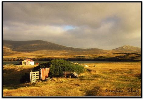 Flickriver Recent Photos From Hill Cove West Falkland Falkland Islands