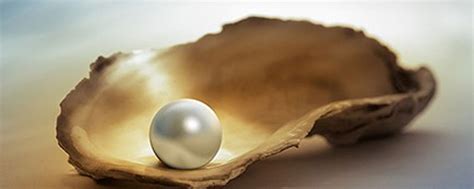 Real Vs Fake Pearls How To Spot The Difference Pure Pearls