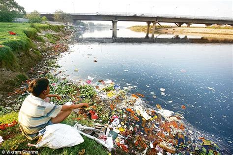 Pollution In India Polluted Rivers In The Country Have Doubled Over