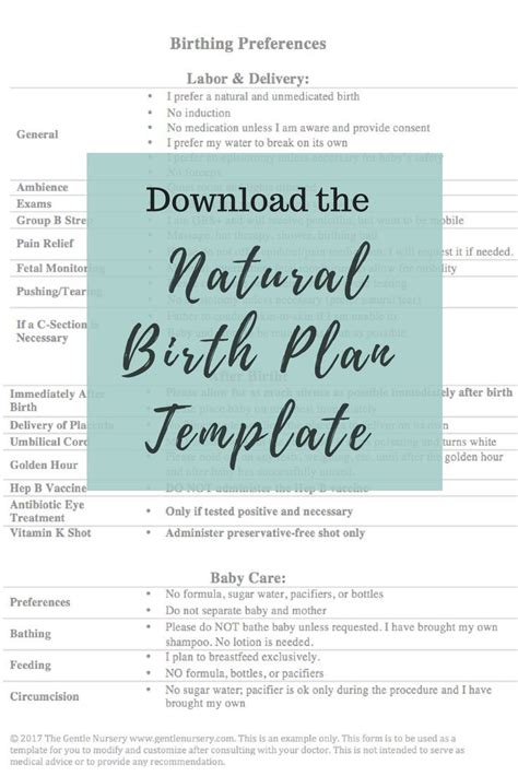 Free Birth Plan Template How To Create A Natural Birth Plan That Rocks
