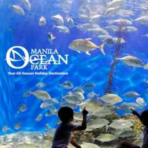 Manila Ocean Park Discounted Tickets Tickets And Vouchers Local
