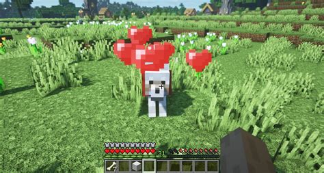 How To Tame A Wolf In Minecraft Step By Step Guide