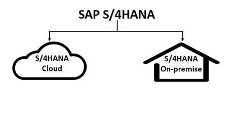 S Hana On Premise Vs S Hana Cloud Sap Blogs