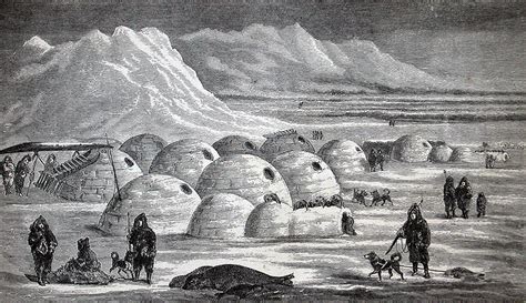 Inuit Native American Tribes