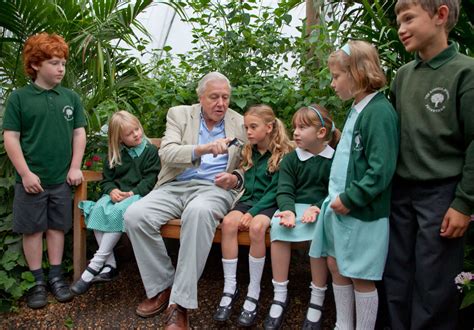 Natureplus Whats New At The Museum Dual Sex Butterfly And Sir David Attenborough At Our