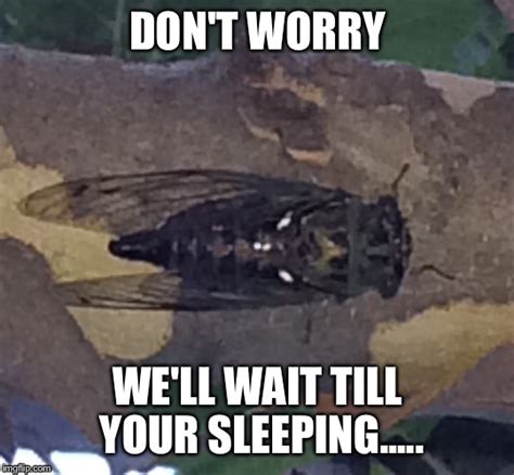 Big Creepy Bug Imgflip