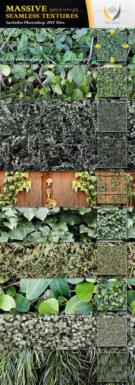 10 Seamless Plant And Hedge Textures Vertical Garden Photoshop