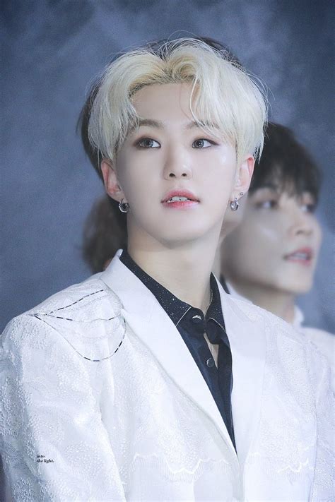 Baca aja^^ s.coups as coups jeonghan as yjonghan joshua as hongjosh junhui as wjun hoshi as hossshi wonwoo as jwonwoo woozi as. If SEVENTEEN's Hoshi Wasn't A Part Of The Performance Team ...