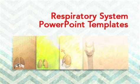 Respiratory System Medicine Powerpoint Templates