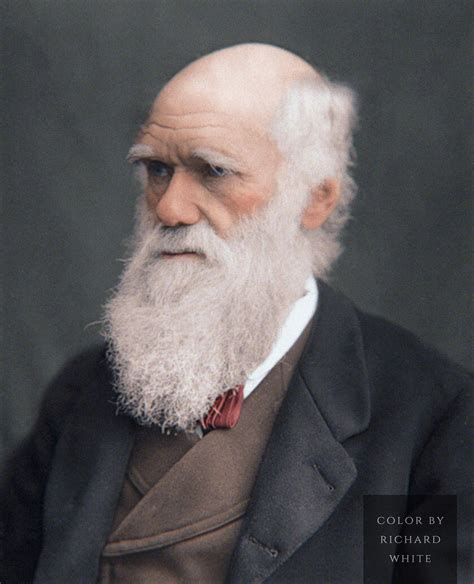 Charles Darwin Photographed In 1877 By Lock And Whitfield Rcolorization