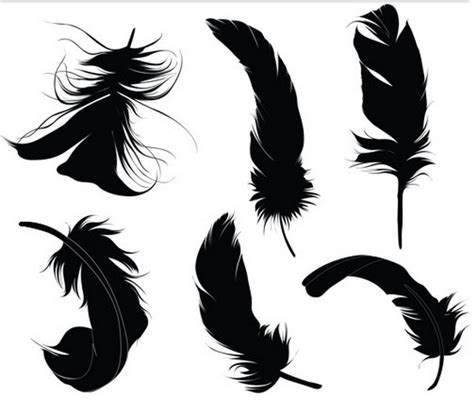 Black Feathers Vector Design Vectors Free Download